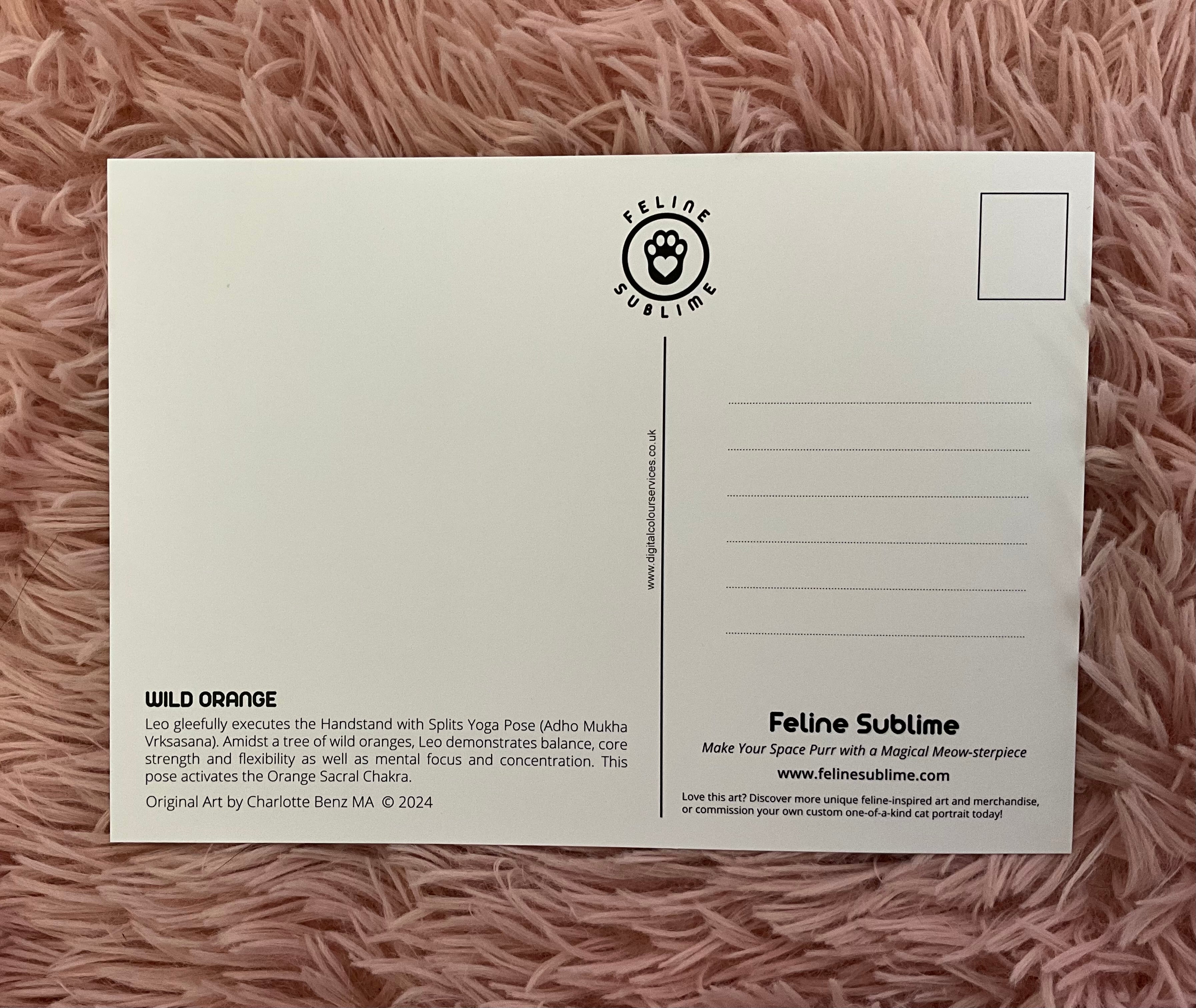 WILD ORANGE - Post/Gallery Card Secondary image